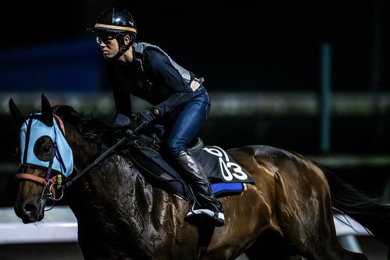 調教で馬に跨る宮川実騎手　©Takuya Sugiyama