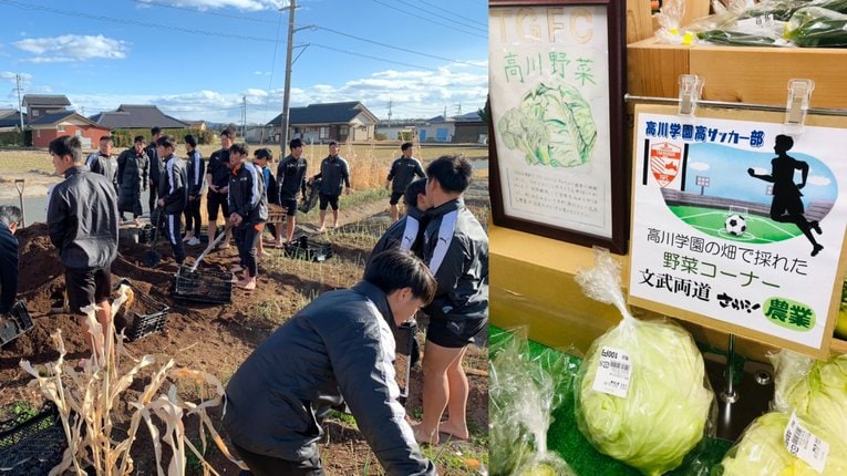 「高川ファーム」で農作業に励むサッカー部員たち　©︎Takagawa Gakuen