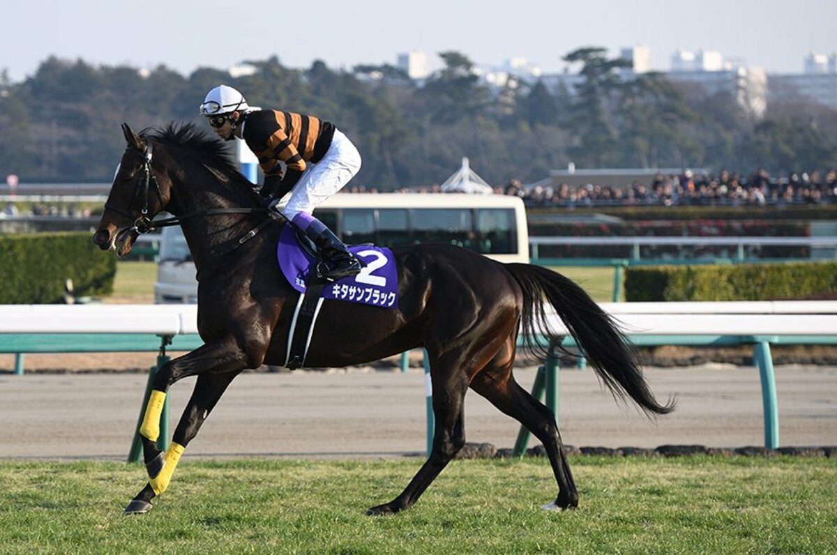 キタサンロス はどう埋まるか ディープ オグリの時を振り返ると 競馬 Number Web ナンバー