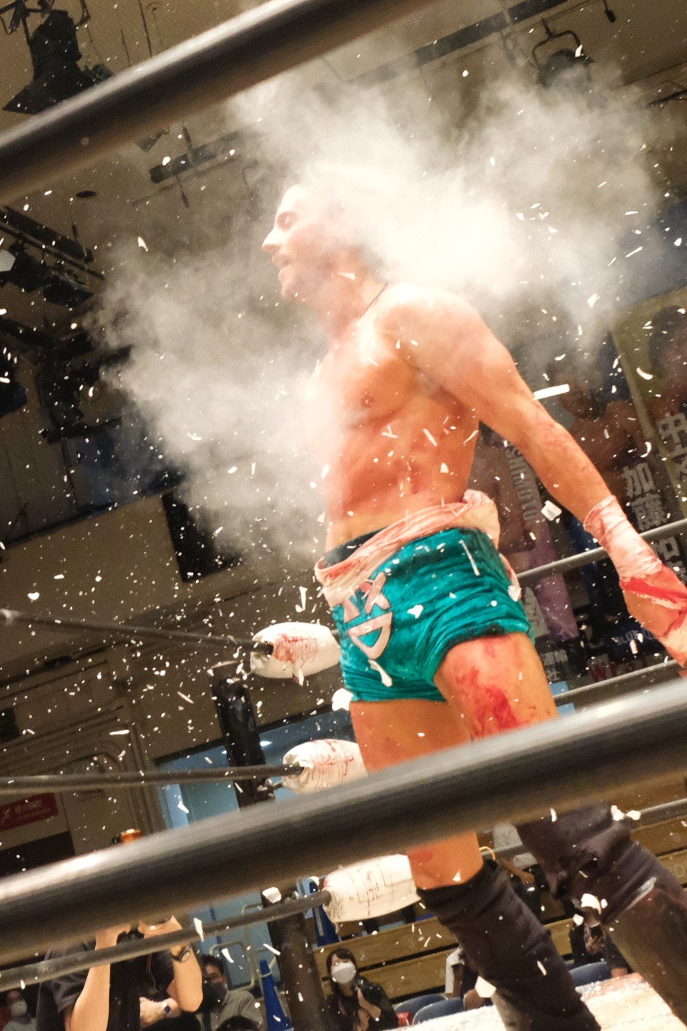 （写真をクリックすると「この記事の写真」にとびます。流血等の過激な写真を含みますのでご注意ください）