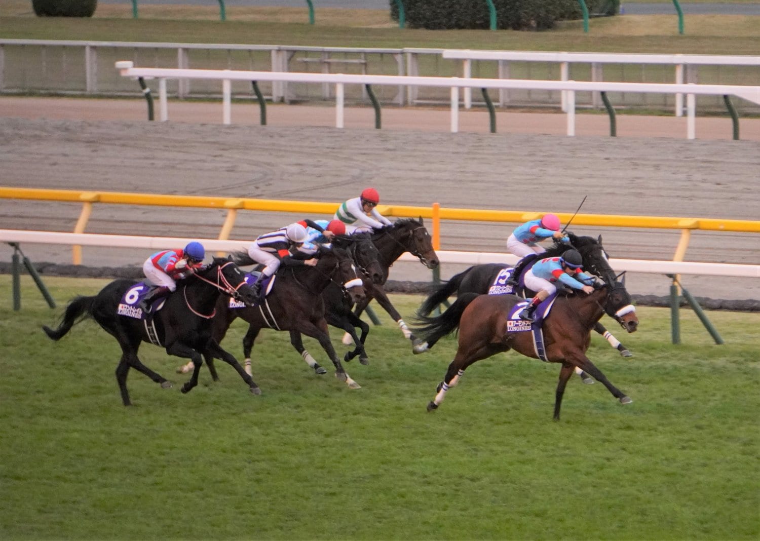 ジャパンカップ