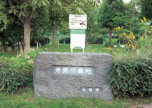 やや年齢層は高めの、発寒川沿いのコース