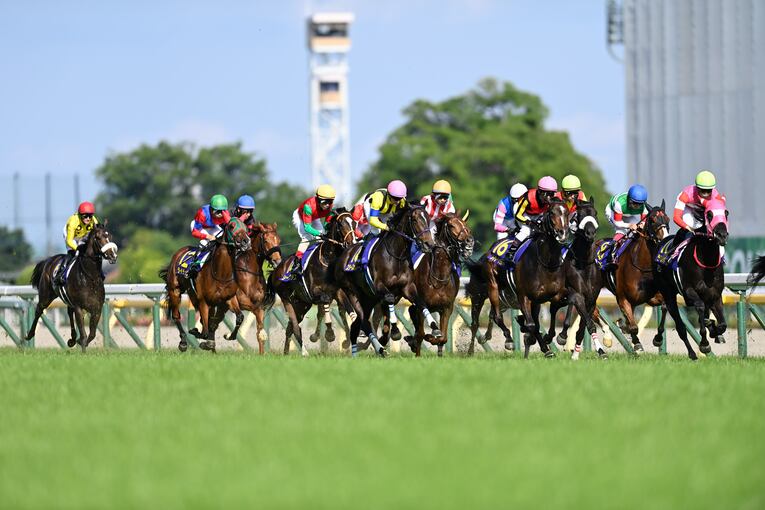 オークス直前に顔面を蹴られて放馬…発走“15分の大遅延”はなぜ起きたのか？「多くの馬の戦いは、スタート前に終わってしまった」(17)