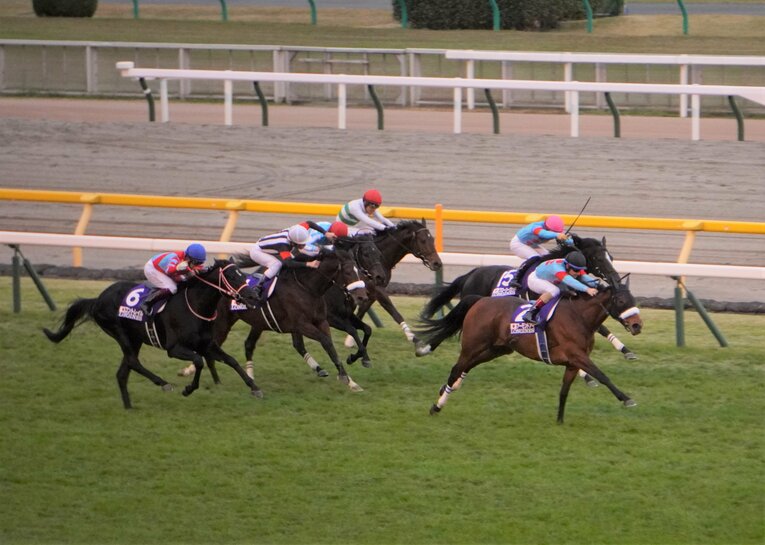 ジャパンカップ