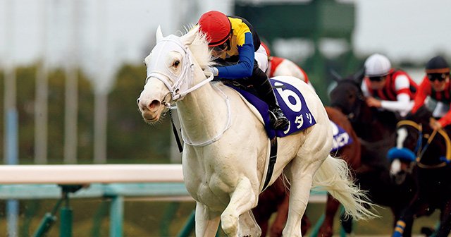 桜花賞】“天性のスター”白毛馬ソダシに「不吉な材料」が？ “良血中の良