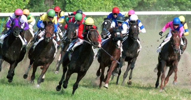 2／3）コスモバルク“ダービー惨敗”の悲劇「すべて僕の責任です」顔面