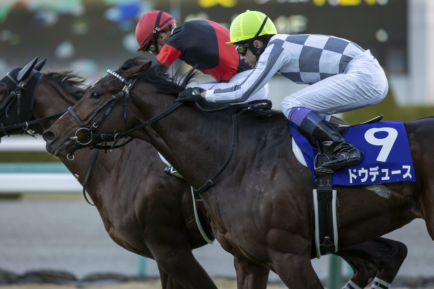 昨年の朝日杯を制したドウデュース　©︎Photostud