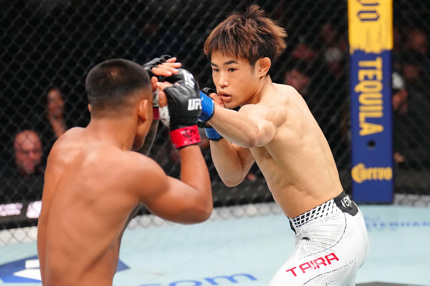 中間距離からジャブを突く平良達郎　©Zuffa LLC/UFC