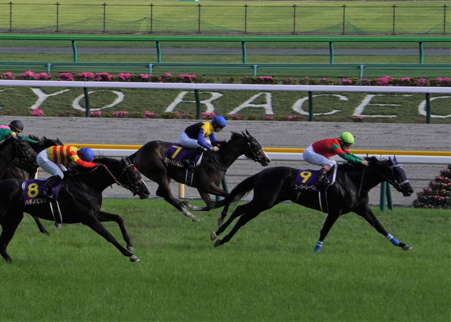 オークスでは惜しくも2着に敗れたアカイトリノムスメ　©Satoshi Hiramatsu