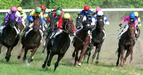 日本ダービーを徹底解剖 - Number Web - ナンバー