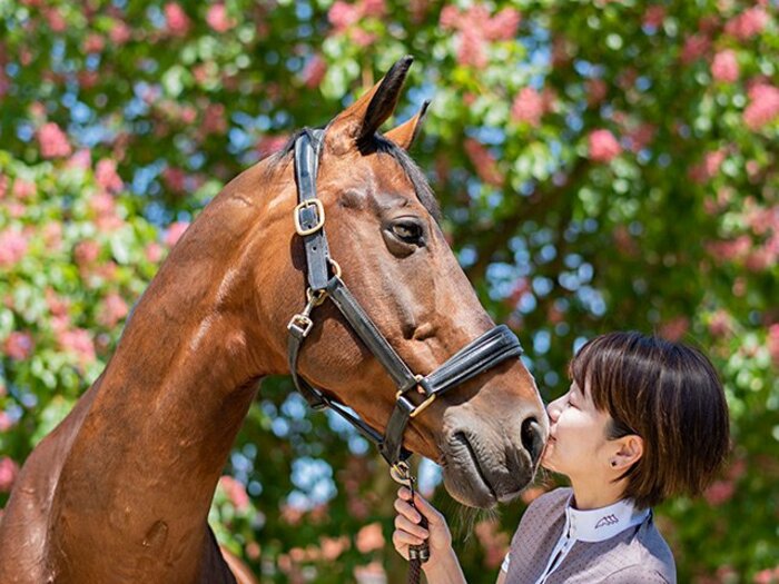 愛馬の「突然の死」を乗り越えた馬場馬術・黒木茜が、東京オリンピックへの挑戦を諦めた理由「一番大切なのは…」＜Number Web＞ photograph by JRA/Ryosuke KAJI