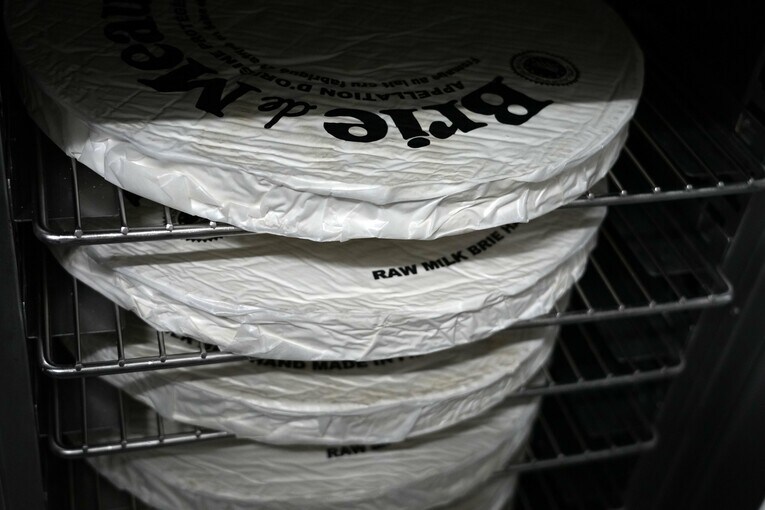 一定の湿度の中で熟成されるブリー・ド・モー