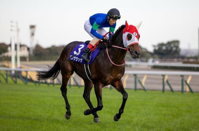 天皇賞・秋で大逃げを打って2着となったパンサラッサ。レース前、鞍上の吉田豊は思い描く理想のレース展開を明かしていた ／ photograph by Photostud