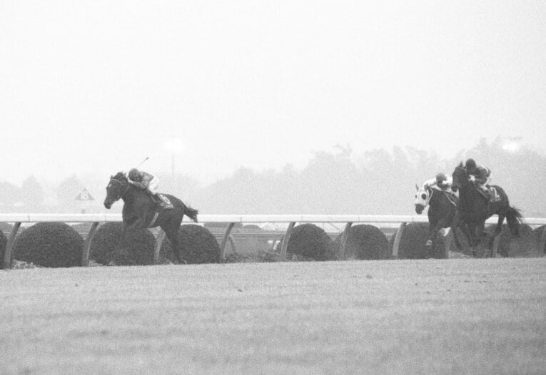 1985年の有馬記念を4馬身差で圧勝し、7冠馬となったシンボリルドルフ。翌1986年に米サンルイレイステークスに出走したが、レース中の故障もあり6着に敗れた　©JIJI PRESS