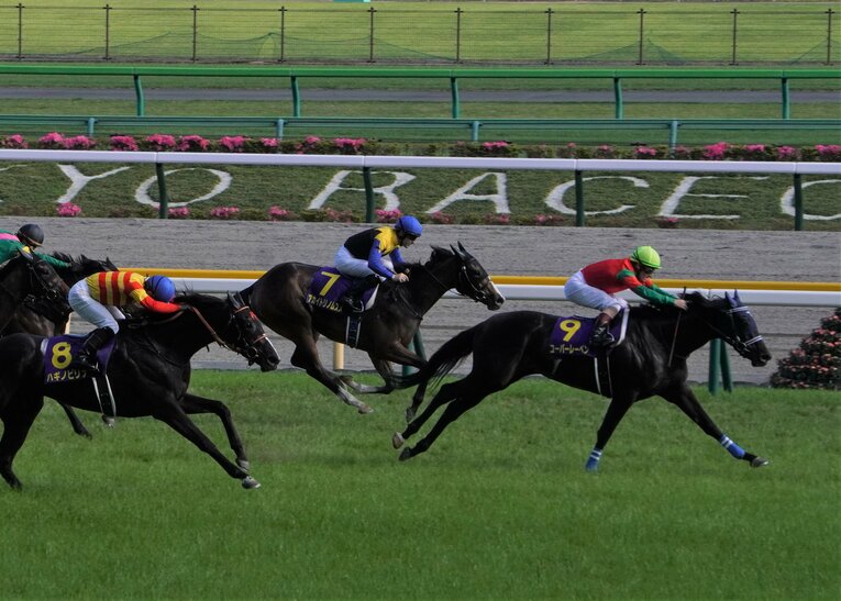 オークスでは惜しくも2着に敗れたアカイトリノムスメ　©Satoshi Hiramatsu