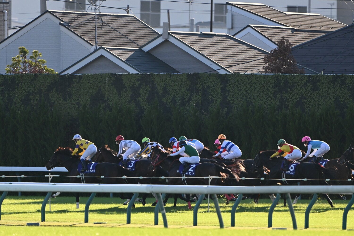 天皇賞・秋のスタート直後、10番枠のジャックドール（ピンク帽、赤黒の勝負服）が先手を主張した　©Keiji Ishikawa