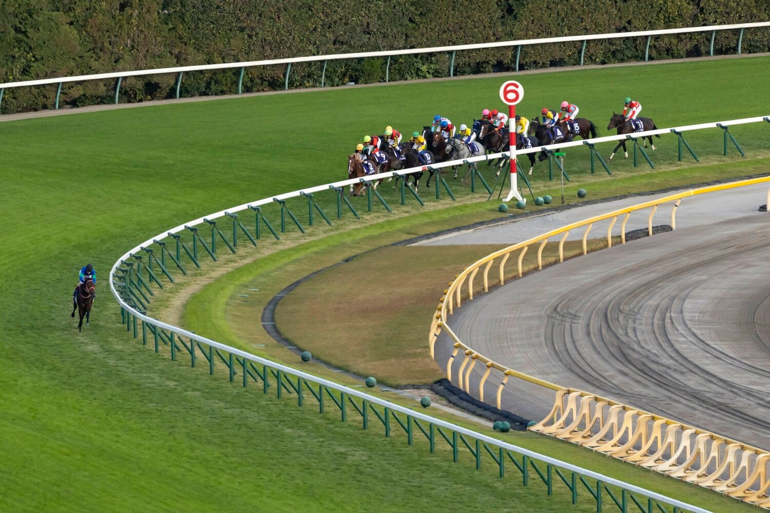 大逃げでスタンドを沸かせ、2着に入ったパンサラッサ