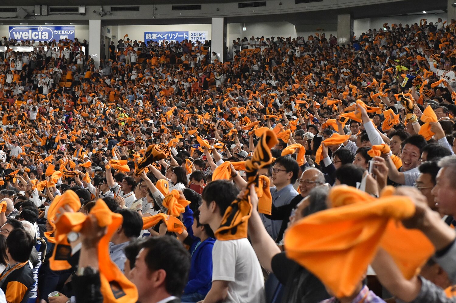 2019年レギュラーシーズンの東京ドーム ©BUNGEISHUNJU