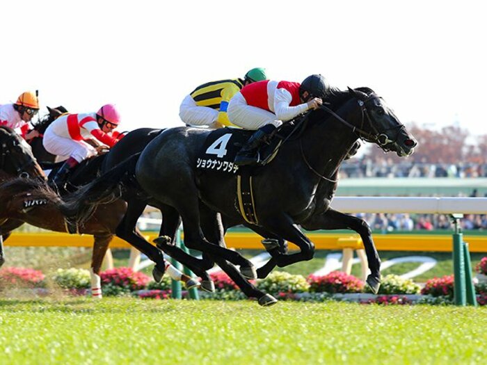 ハイレベルの激戦、NHKマイルカップ。GIを勝つために必要な「武器」とは？＜Number Web＞ photograph by Yuji Takahashi