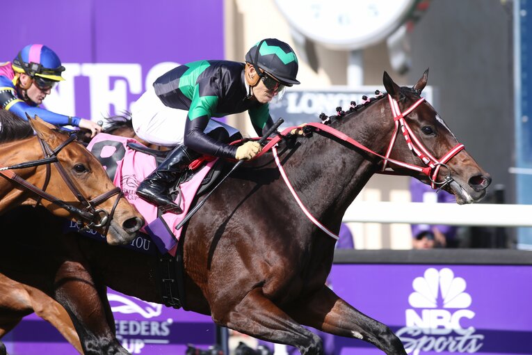 BCF&Mターフを制したラヴズオンリーユー