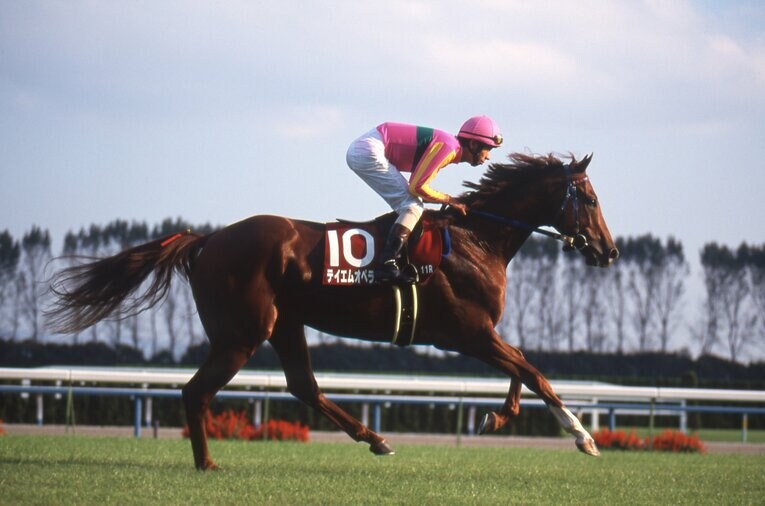 テイエムオペラオー（1999年京都大賞典）　©Keiji Ishikawa