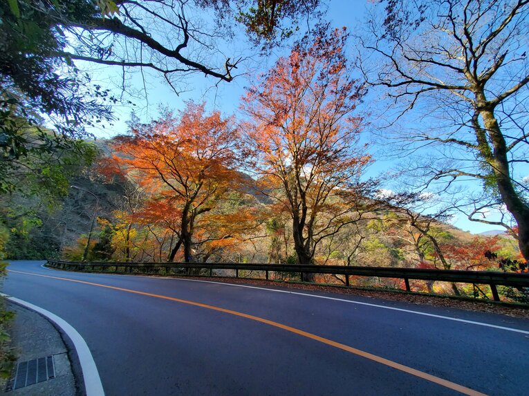 美しい紅葉に目を向ける余裕もなく……　©Number Web