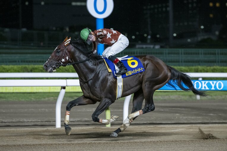 南関東三冠を制したミックファイア。鞍上の御神本訓史は派手なガッツポーズを披露　写真提供：TCK（東京シティ競馬）