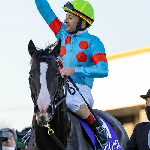 阪神ジュベナイルフィリーズを徹底解剖 - Number Web - ナンバー