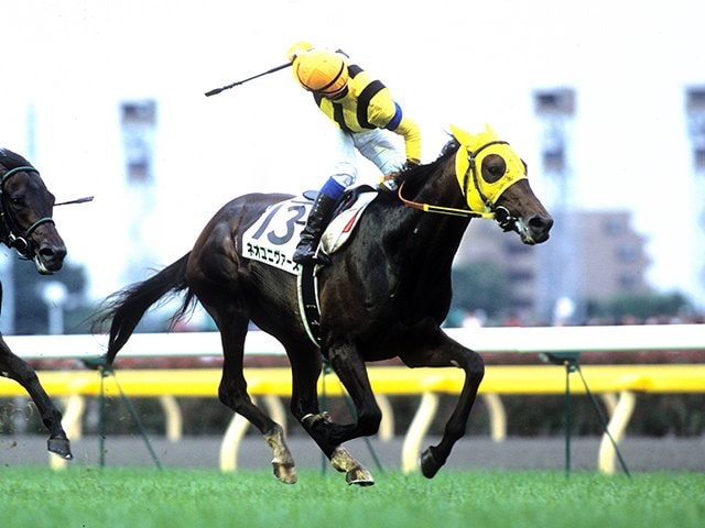 欠点は人間の言葉を喋れないことぐらいだ」デムーロと“運命の馬