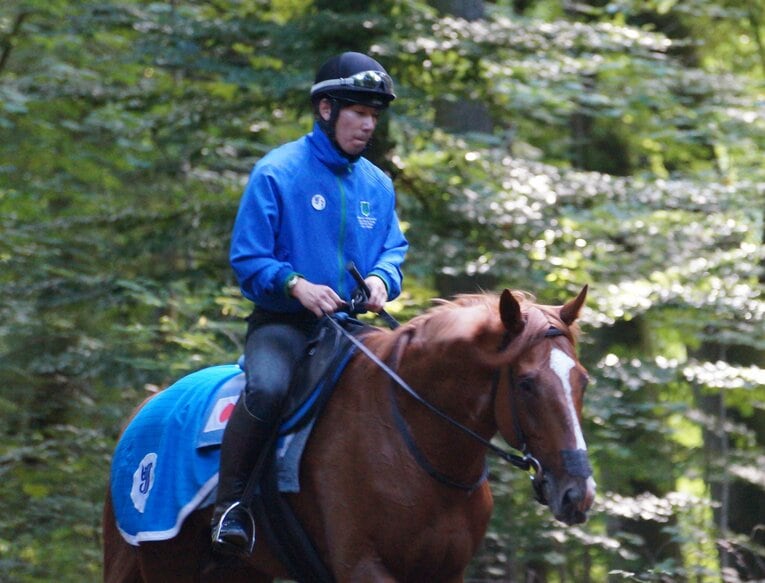 オルフェーヴル　©Satoshi Hiramatsu