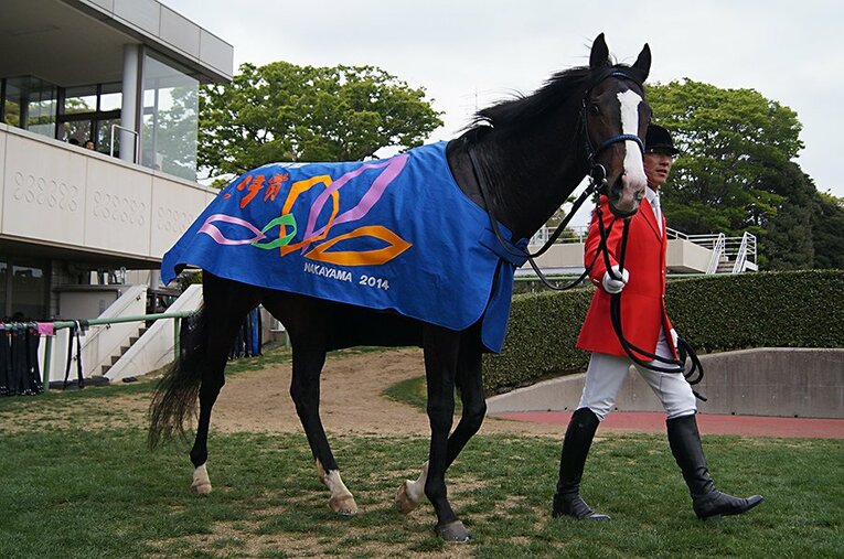皐月賞でのイスラボニータ。共同通信杯でステップアップしたこのヤンチャな馬が牡馬クラシック第一弾を制した ／ photograph by Satoshi Hiramatsu