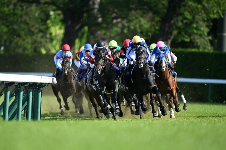 4コーナーの連続写真。ロブチェンに競りかけるリアライズシリウス（3枚目／全10枚） ©Keiji Ishikawa
