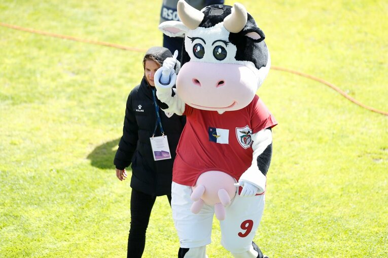 「山の斜面にスタジアム」「守田英正のお薦め料理は…」日本代表MFが戦う“離島クラブ”は美しい風景とグルメ満載だった《現地で撮影》(26)