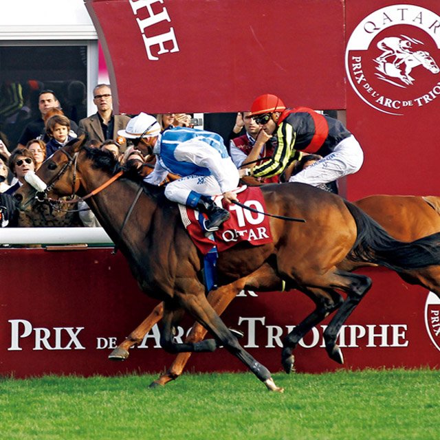 海を渡ったダービー馬たち「関テレ・岡安アナの凱旋門賞実況秘話」