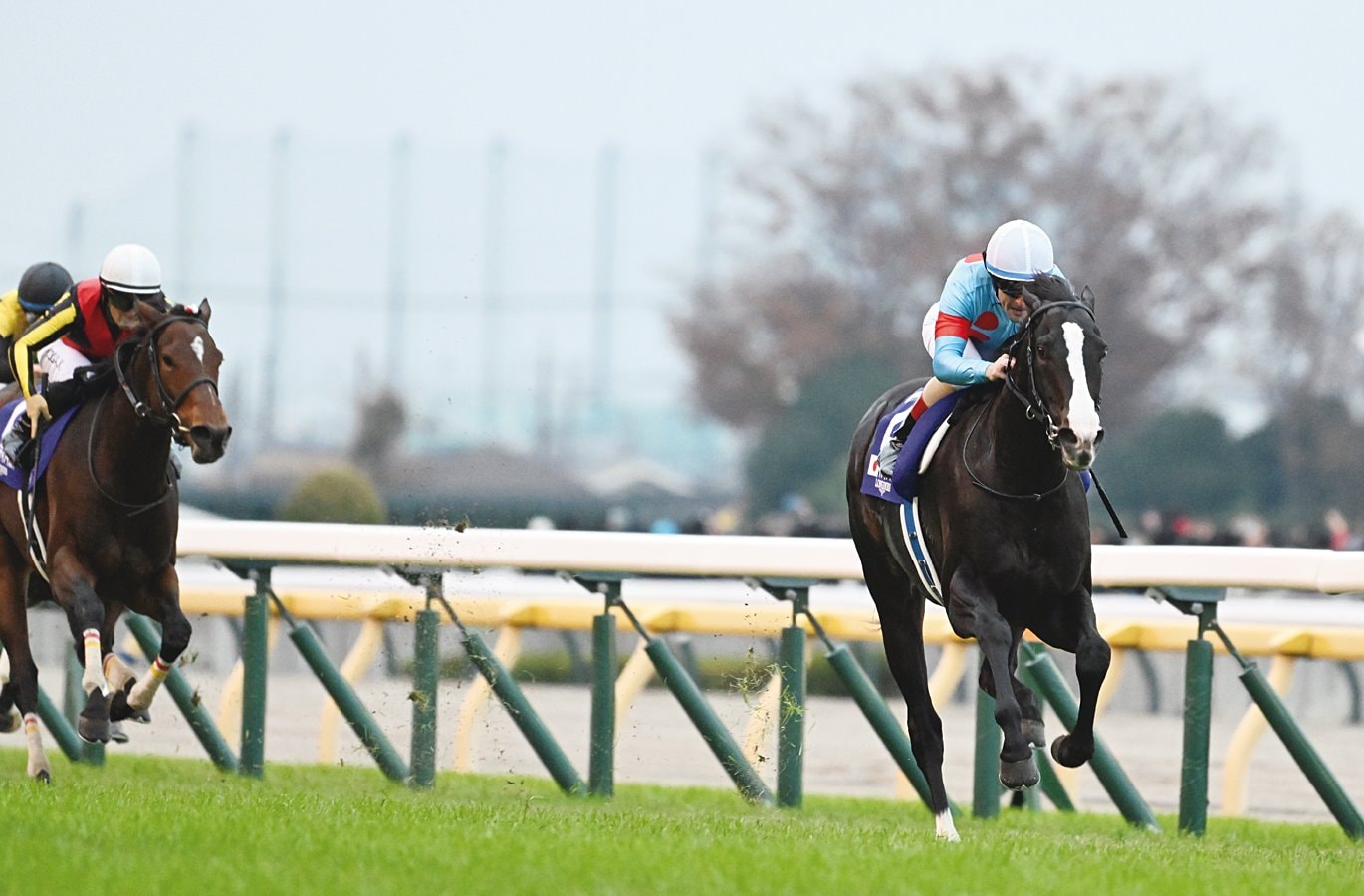 img_267ace6466316cd684df58740b