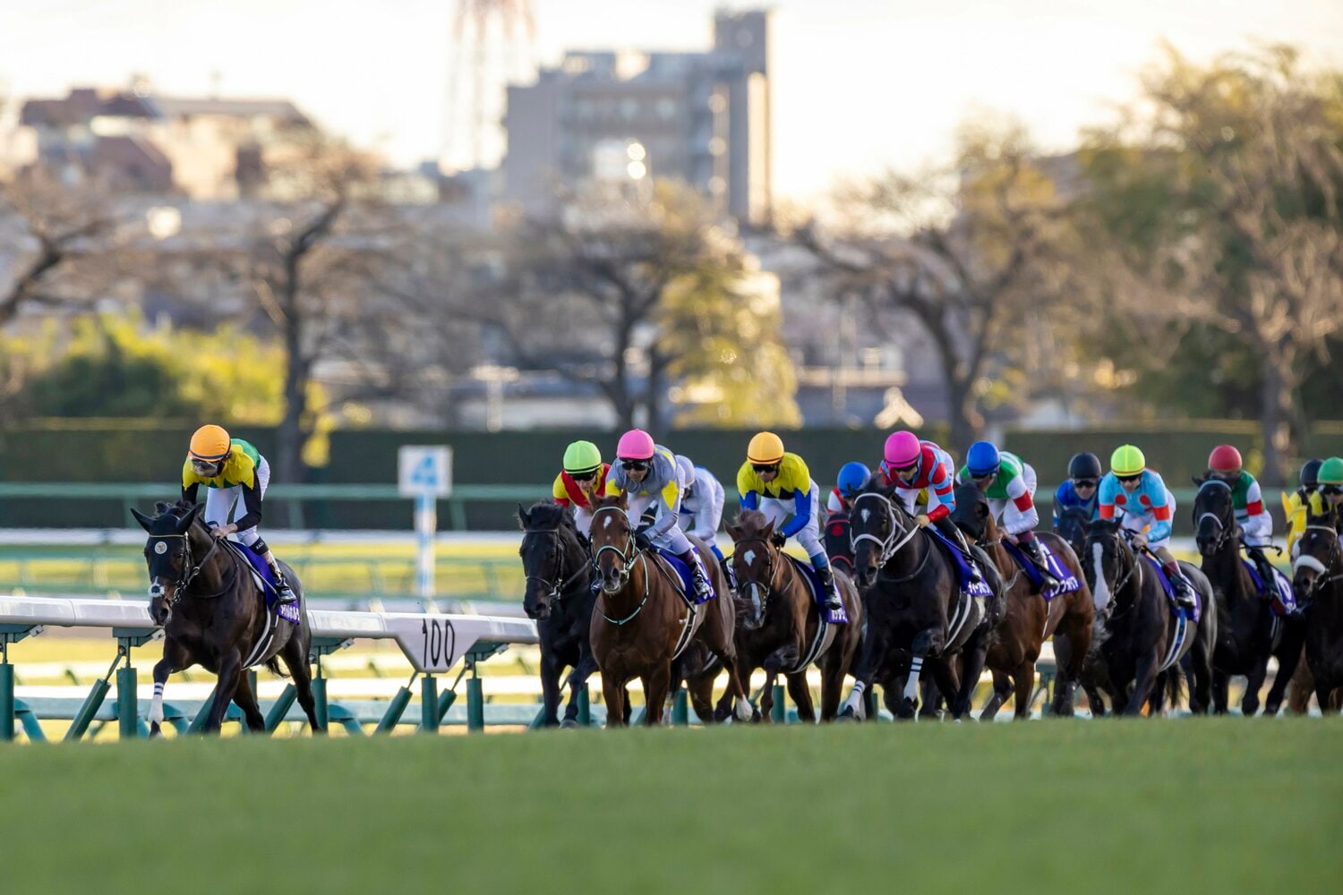タイトルホルダーは単騎で逃げる形に持ち込んだものの、直線で伸びず9着となった　©Photostud