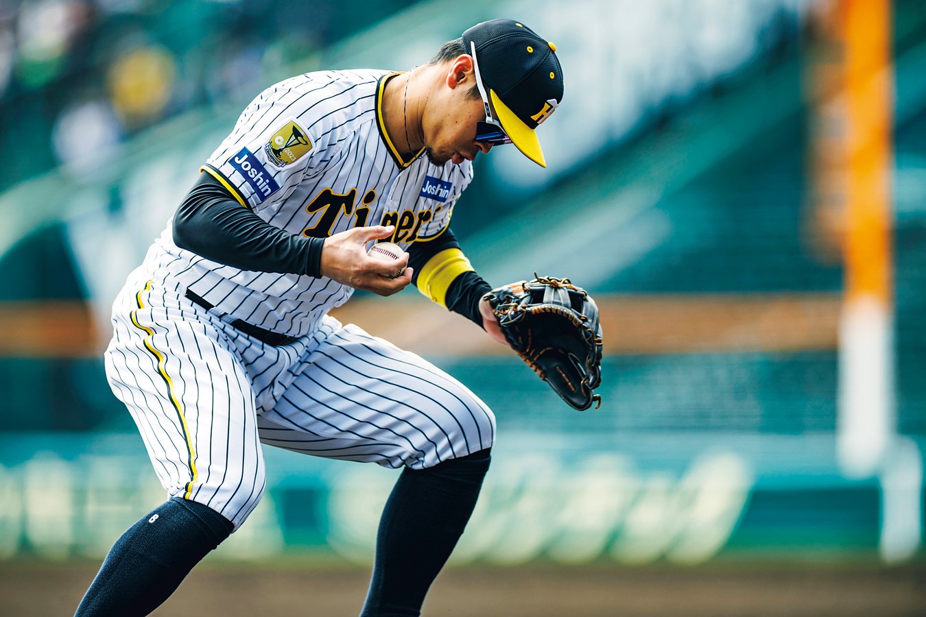 ©︎Kiichi Matsumoto