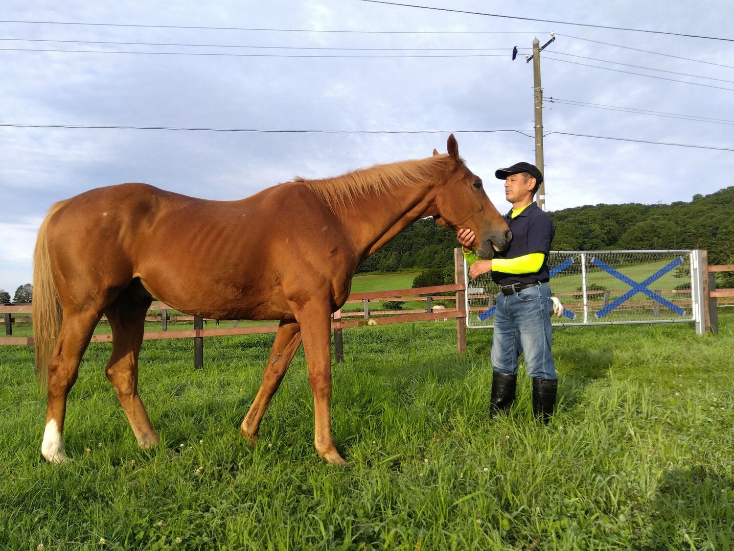 代表の川越さんに甘えるタイキシャトル 提供:ノーザンレイク