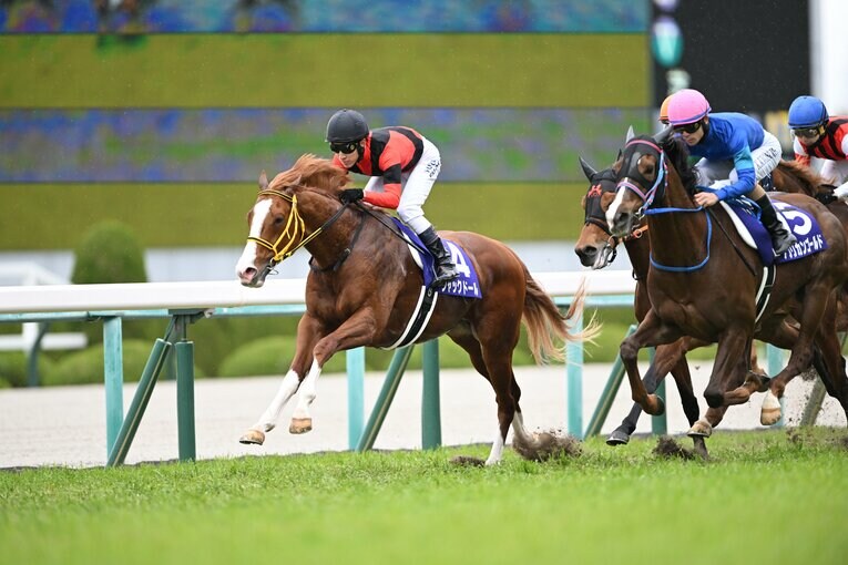 逃げるジャックドール　©Keiji Ishikawa