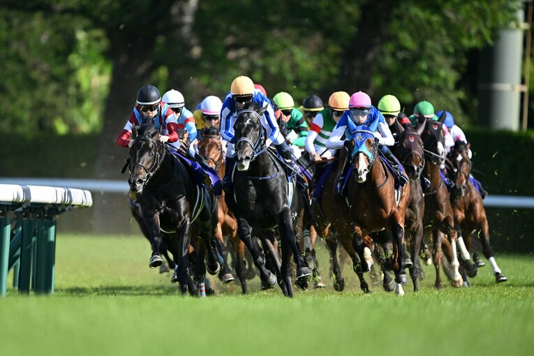 4コーナーの連続写真。ロブチェンに競りかけるリアライズシリウス（5枚目／全10枚） ©Keiji Ishikawa