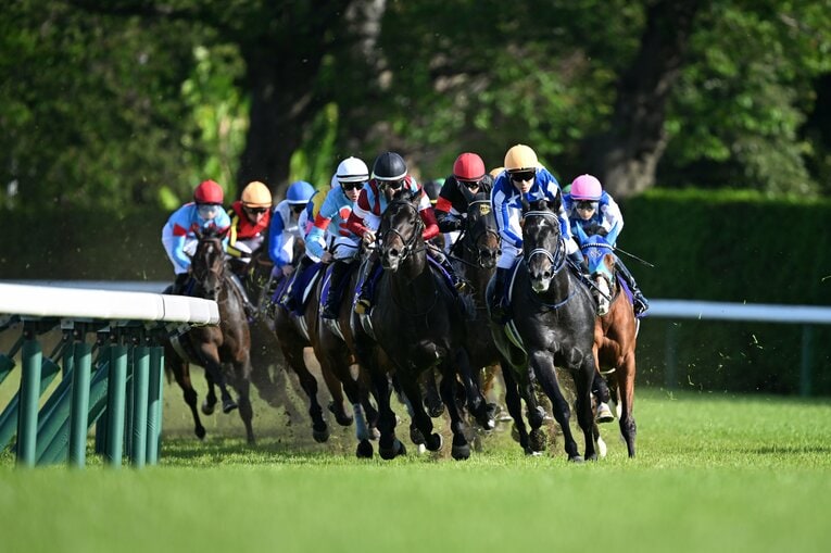 4コーナーの連続写真。ロブチェンに競りかけるリアライズシリウス（2枚目／全10枚） ©Keiji Ishikawa