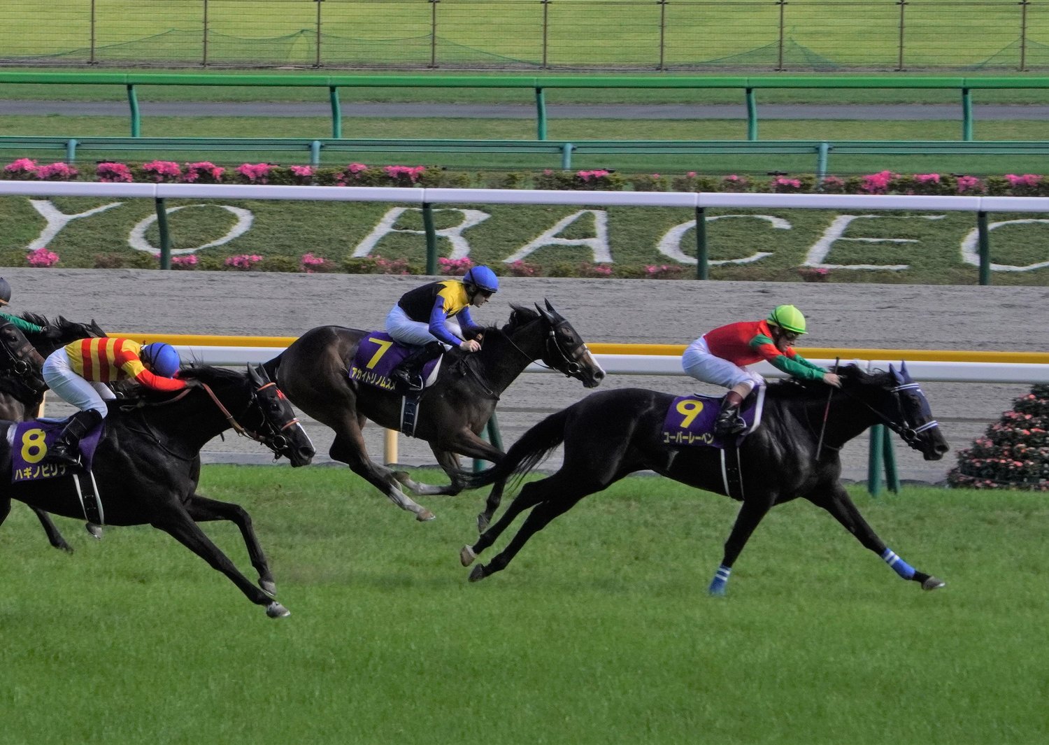 アカイトリノムスメは惜しくもオークス2着に敗れた©Satoshi Hiramatsu