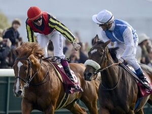 “オルフェーヴルまさかの斜行”がもう10年前…海外競馬評論家・合田直弘に聞く凱旋門賞の攻略法「日本馬は迷宮に入り込んでしまった」
