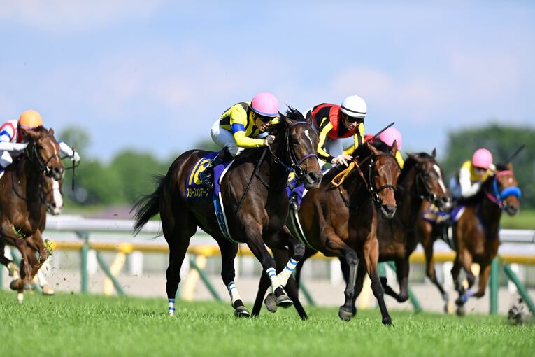 オークス直前に顔面を蹴られて放馬…発走“15分の大遅延”はなぜ起きたのか？「多くの馬の戦いは、スタート前に終わってしまった」(23)