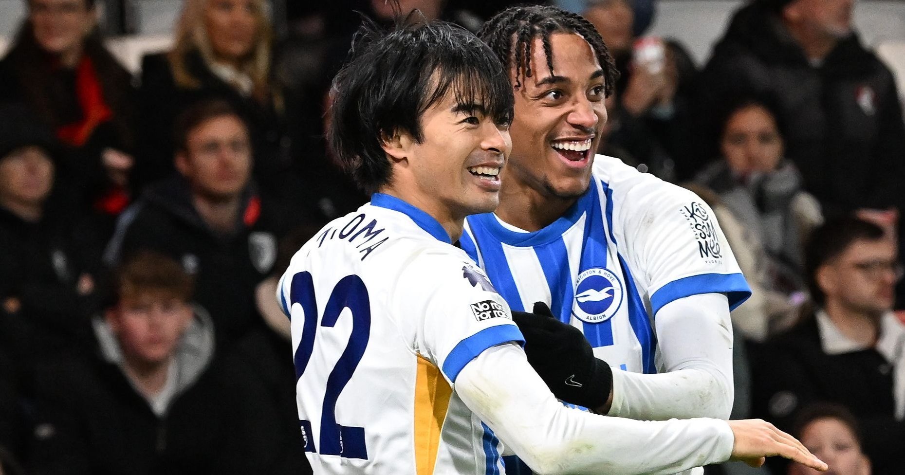 プレミアムリーグ ブライトン 青いカメ ぬいぐるみ 三笘薫 プレミアム