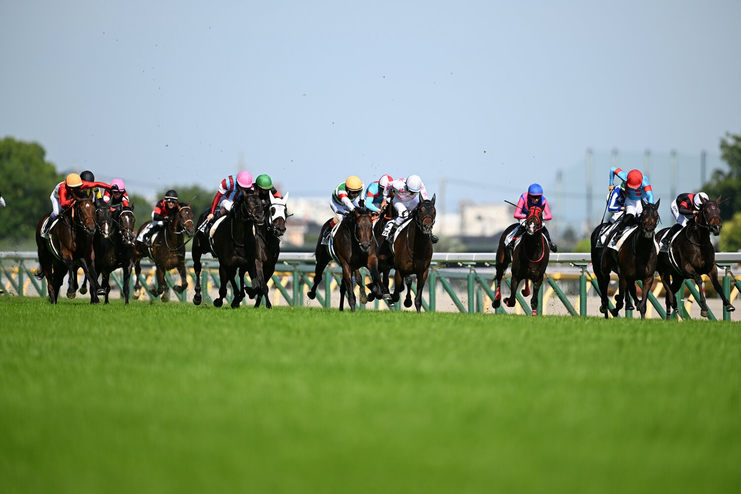 直線で先に抜け出したバステール（赤帽）に襲いかかるパントルナイーフ（橙帽）とロブチェン（桃帽）　©Keiji Ishikawa