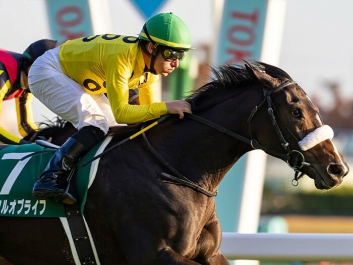 《阪神JF》狙うべきは「早熟スピード馬」ではなく“伸びしろ”のある馬！ 豪脚を見せたサークルオブライフ以外に当てはまるのは…？＜Number Web＞ photograph by Photostud