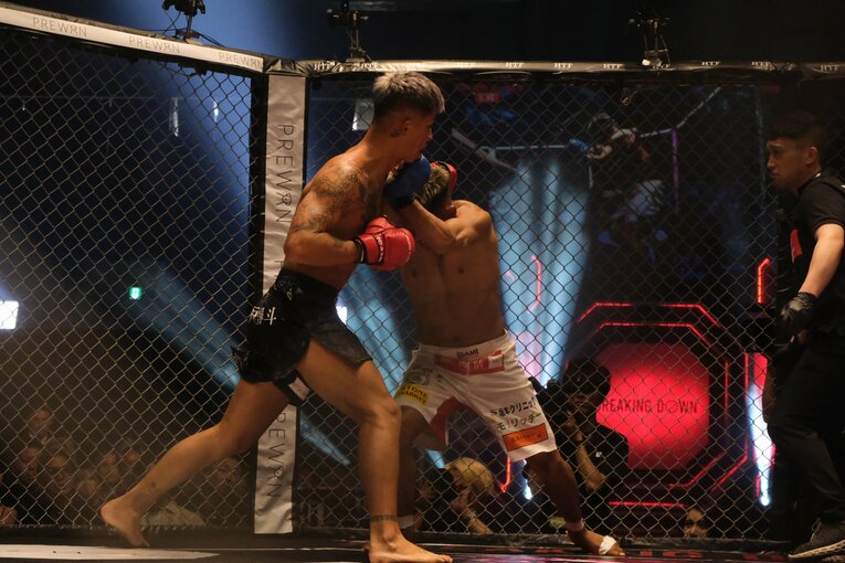 ©Norihiro Hashimoto