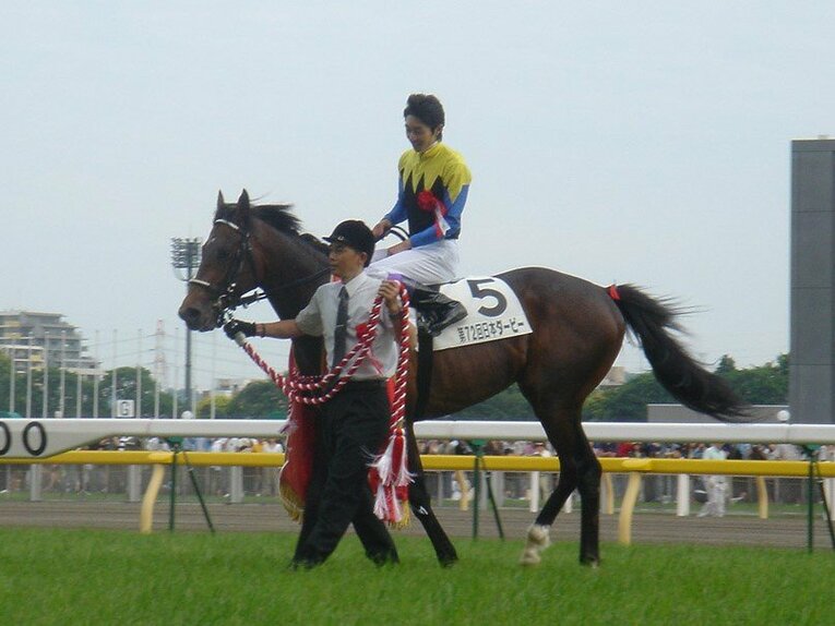 ダービーでのディープインパクト