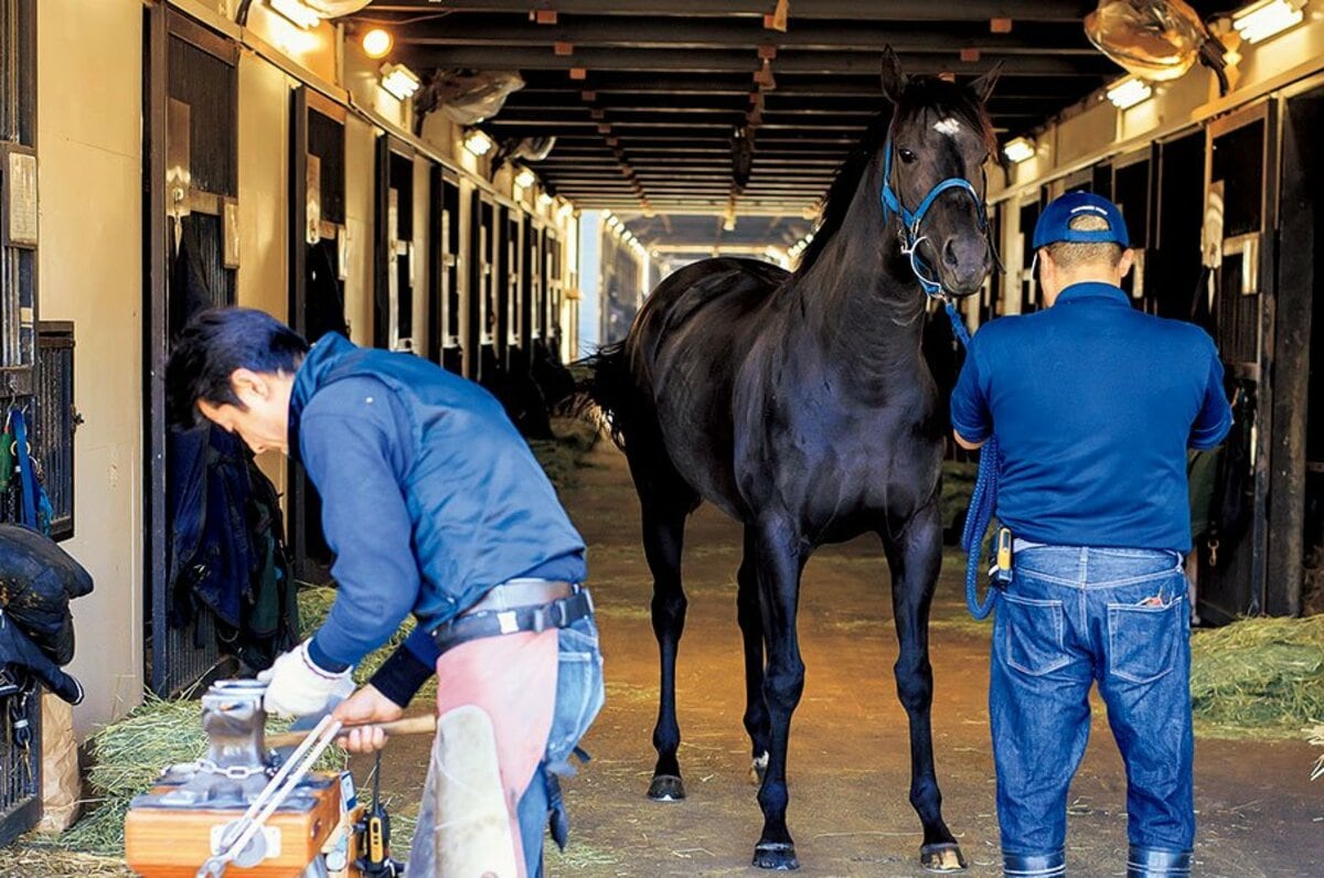 外厩の枠を超えて ノーザンファーム天栄 躍進の基地に潜入す 競馬 Number Web ナンバー